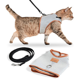 Шлейка для котів PiuPet (M) з повідком 1,2 м, протиутечна, комплект шлейка і повідок для кішок