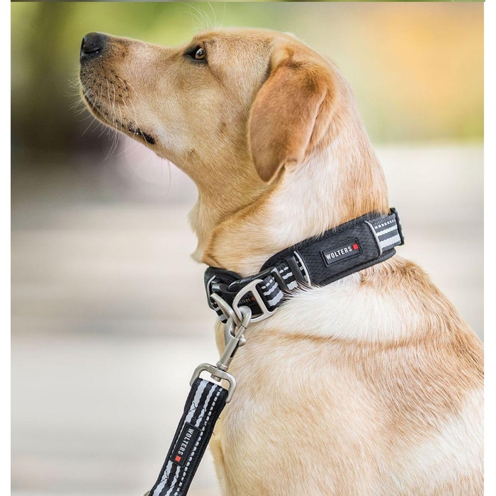 Нашийник для собак Wolters Active Pro, розмір 45-52 см, чорний
