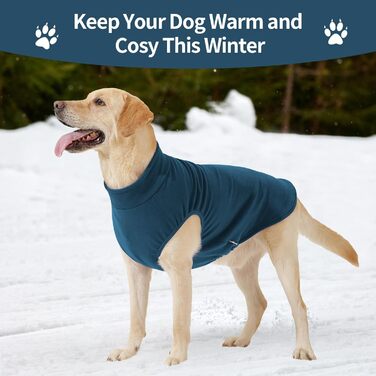 Пуловер для собак Heywean з флісу, теплий, для зимового носіння, для малих, середніх та великих собак (XXL, блакитний)