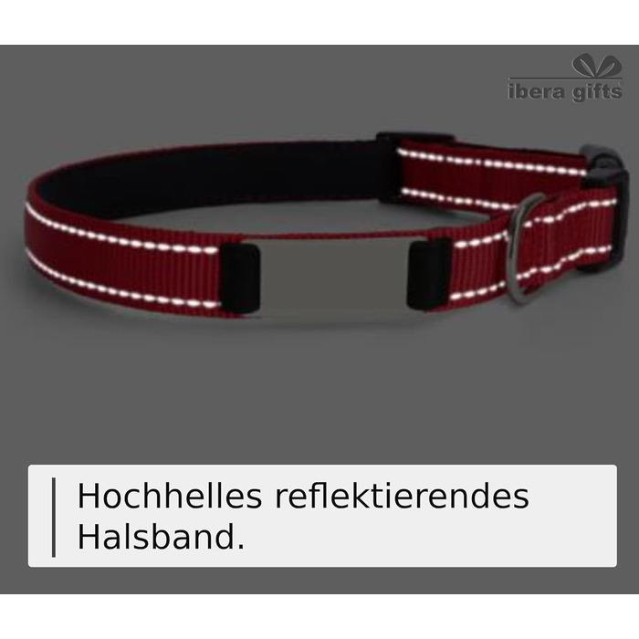 Персоналізований нашийник для собак, з іменем, середнього розміру, 35-50 см, світловідбиваючий (чорний, M)