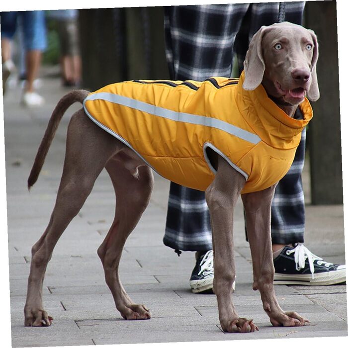 Зимовий теплий дощовик для собак з флісовою підкладкою та світловідбиваючими смугами. Теплий костюм для собак з високим коміром та отвором для повідка. Матеріал: поліестер.