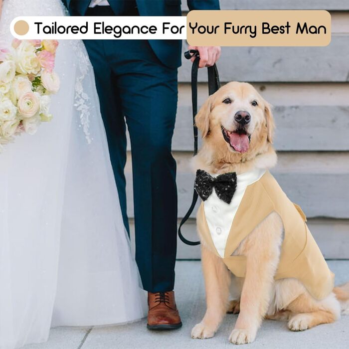 Костюм для собак, бандана, аксесуари для святкування: весілля, день народження, Хелловін (XXL, шампань)