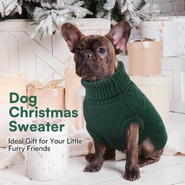 Светр для собак Queenore: в'язаний водолазка для джек-расселів, коргі, бульдогів (XS, зелений)