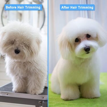 Набір професійних ножиць для грумінгу собак та котів, нержавіюча сталь, для довгого та короткого волосся