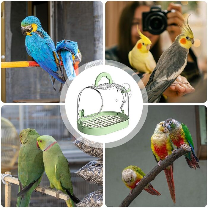 Переносна клітка для птахів: зручна транспортна коробка з безпечним замком (зелено-біла)