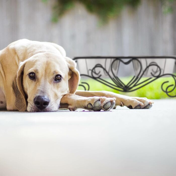Набір мисок для собак Relaxdays з підставкою: 2 миски з нержавіючої сталі, 800 мл (чорний/сріблястий)