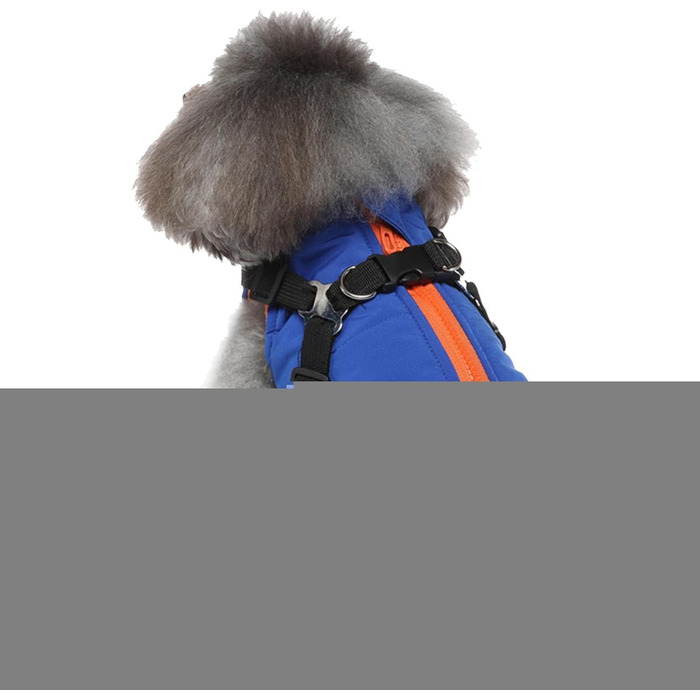 Зимовий теплий куртка для собак з напиленням, для малих, середніх та великих собак, зелений (синій, XL)