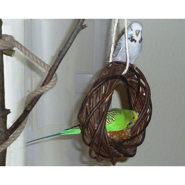 Дерев'яний іграшковий кілечко з лози для птахів (волинки, корели та ін.); Vogelgaleria®