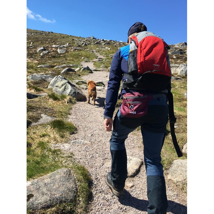 BOGG Універсальна сумка-переноска для собак | Диспенсер для пакетів та контейнер для відходів (Бромбірний кущ)
