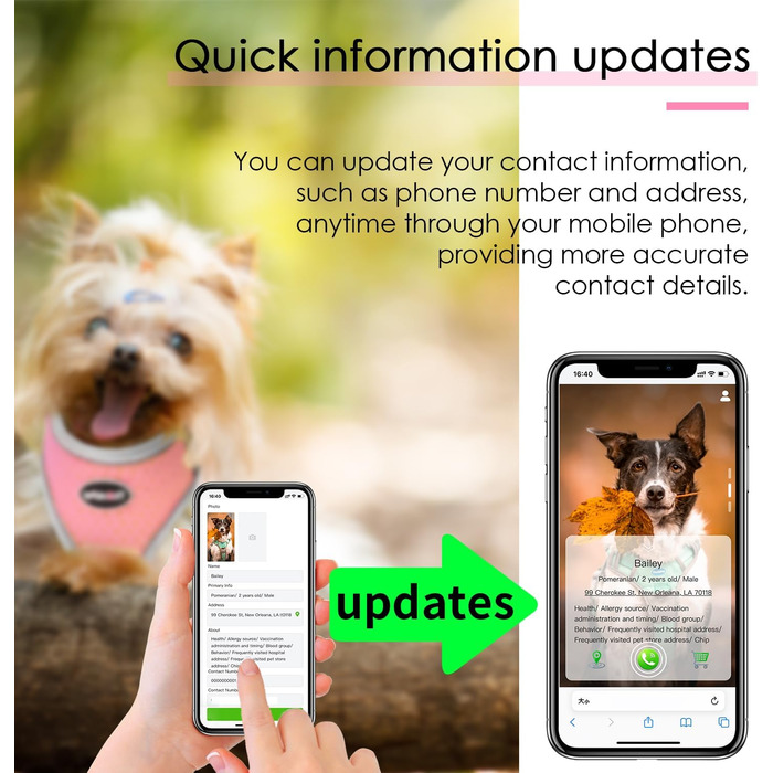 Шлейка для собак і котів ThinkPet XS, повітропроникна, відбивна, без удушення, з QR-кодом і адресником, бірюзова