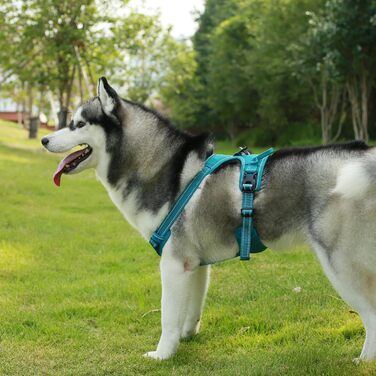 Шлея та повідець для собак Best Pet Supplies Voyager, не тягне, подвійне кріплення, червона сіточка, розмір M (груди 55,9–68,6 см)