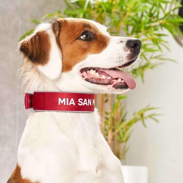 Нашийник для собак Hunter Neopren Reflect FC Bayern München, сірий (червоний, S-M (45))