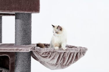 Дряпка для великих котів Petrebels Turnpike XXL 200 см, стовпи Ø15 см, для мейн-кунів, 76x76x200 см, колір капучино