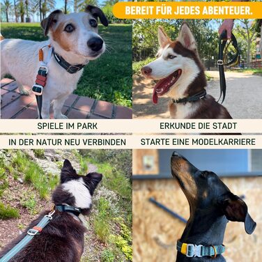 Нашийник для собак Nomadog Trailblazer S: міцний, тактичний, з ручкою, для великих собак