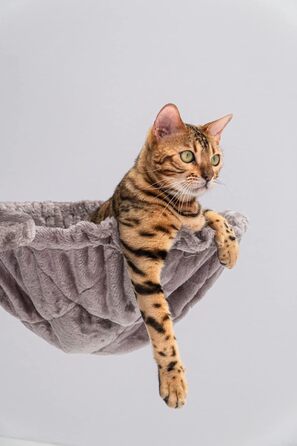 Кігтеточка Petrebels Catharina 160 см трикутна, преміум-якість, для великих котів з XXL гамаком і будиночком, колір капучино