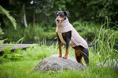 Вольтерс Степова куртка Cosy, розмір 46 см, колір: тауп