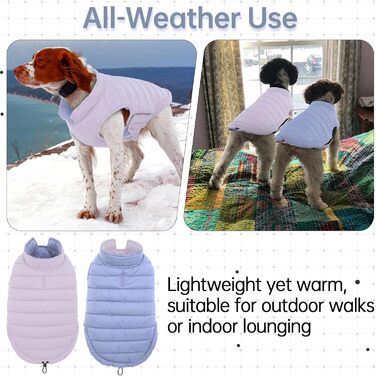 Водонепроникний та вітронепроникний зимовий теплий куртка для собак Lelepet, Puffer-жилет, для маленьких собак, Chihuahua, зелений, розмір 3XL, фіолетовий
