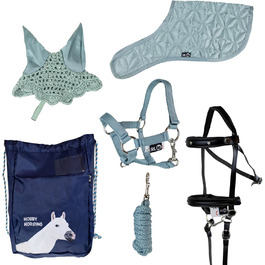 Набір аксесуарів для хобі-коня RL24 (6 предметів): вуздечка зі шнуром, ковдра та накидка від мух світло-бежевого кольору, вуздечка чорного кольору, багатокольоровий транспортний мішок для коня на палиці, аксесуари для коня на палиці (набір світло-зелений)