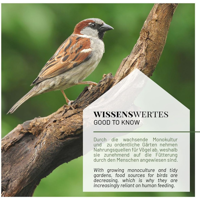 Будиночок для птахів WILDLIFE HOME XL - годівниця для диких птахів, вологостійкий годівничок для пташиного корму, годівниця для саду та балкону