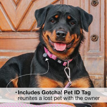 Нашийник для собак Max & Molly з надійною застібкою, веселий стиль, водонепроникний, зручний, регульований, з QR-кодом для ідентифікації тварин, ретро-рожевий, розмір M (13-21 дюймів)