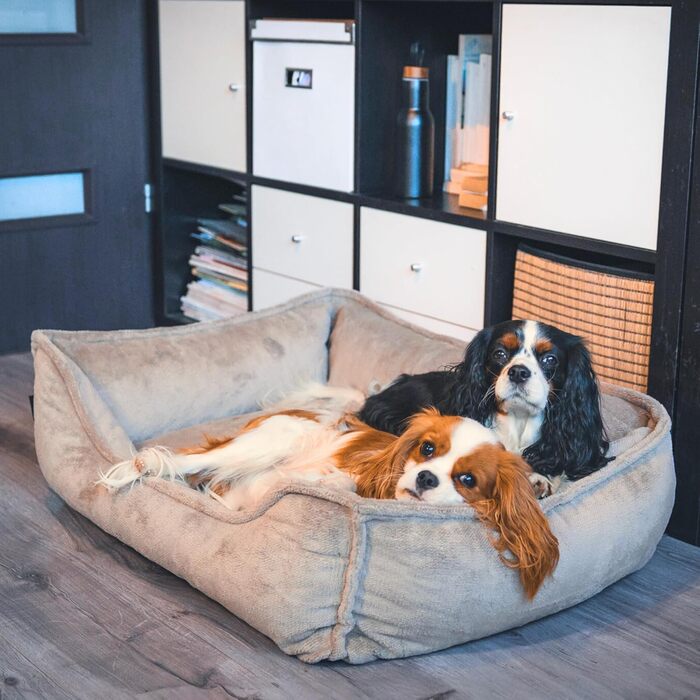 Ортопедичне собаче ліжко 4L Textil IRIS Premium-LINE: зручне та комфортне місце для вашого улюбленця (80x60 см)