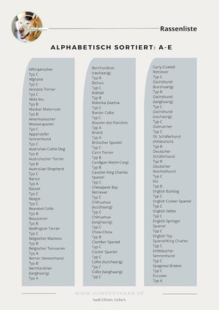 Щітка для котів та собак Striegel, аксесуари для собак, видалення шерсті | Зроблено в Німеччині (Тип C)