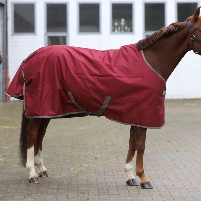 Водонепроникна попона для лошадей Marengos by Bucas Freedom Turnout 600D, демісезонна накидка з підкладкою та перехресними ременями, бордовий/темно-синій, 125 см (без наповнювача)