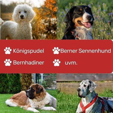 Ножиці кухонні EHASO Revolution Black Schere Titanium 25 см, вигнуті, японські