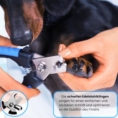 Тример для обрізання кігтів собак, котів та інших домашніх тварин | З пилочкою, лезами з нержавіючої сталі, захистом та чохлом – великий | Для догляду за лапами та кігтями