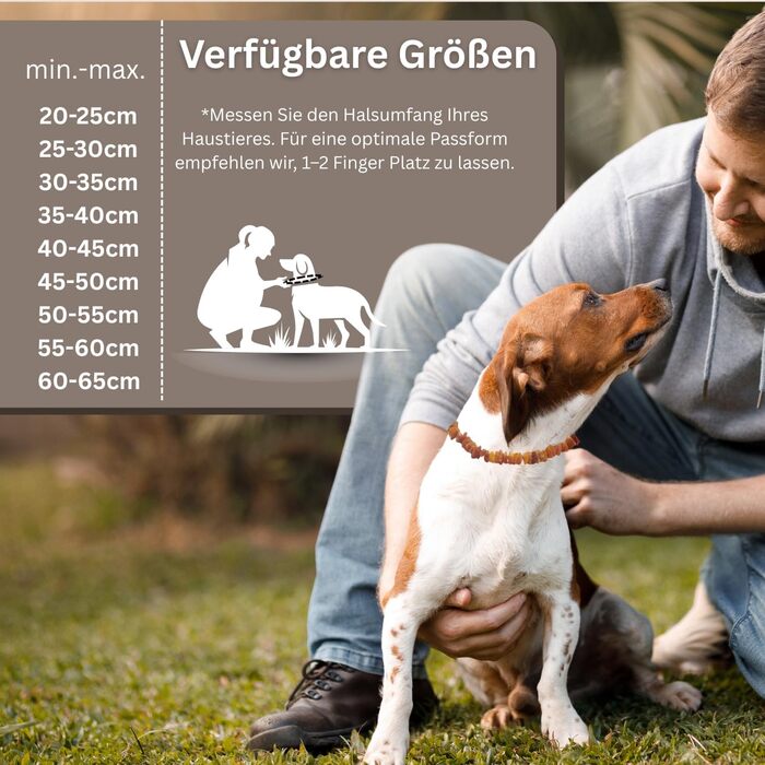 Намисто з бурштину для собак PetLove • 100% балтійський бурштин • Обов'язкове для собак та котів • Довжина: 50-55 см