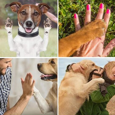 Очищувач для лап собак PJDDP, портативний, силіконовий, з щіткою та рушником, для собак та котів (блакитний)