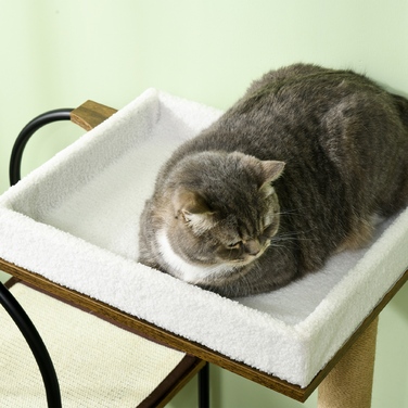 PawHut Cat Tree 1185 см Cat Tree з печерним ліжком і килимком для дряпання Play Ball Tilt Protection для кішок до 5 кг Сільський коричневий