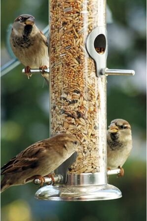 Годівниця для птахів Dobar® 10041 з нержавіючої сталі - годівниця для диких птахів, годівник з сіткою для горіхів - годівник зі сталі для саду/тераси/балкону - Ø 14 см x 26 см - Сріблястий 1 шт. (1 шт. в упаковці) Розмір M для горіхів (1 шт. (1 шт. в упак