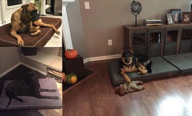 Ортопедичне ліжко для собак Laifug з Memory Foam, велике, з подушкою, водонепроникне, знімний чохол, розмір L (117x71x10 см)