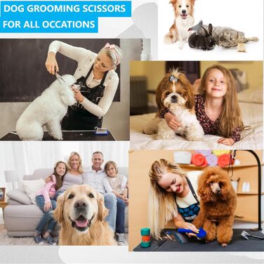Набір професійних ножиць для грумінгу собак 6 дюймів: прямі та розріджуючі ножиці для догляду за шерстю