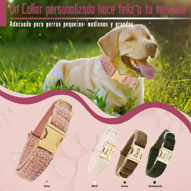 Персоналізоване собаче нашийник з металевою застібкою, з іменем та номером телефону. Регульовані розміри для великих та середніх собак (Collar 04)