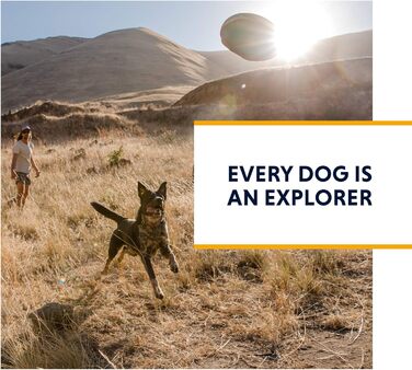 Шлея для собак з кишенями RUFFWEAR Switchbak, зручна для щоденних прогулянок і коротких подорожей, для малих порід, синя Blue Moon