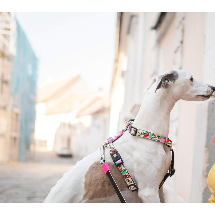 Нашийник для собак Max & Molly H-подібної форми, Ultrabequemes Geschirr Hund з неопрену для дуже маленьких собак, Little Monsters, з підкладкою, безпечний та ультралегкий – комфорт для вашого вірного друга (M)