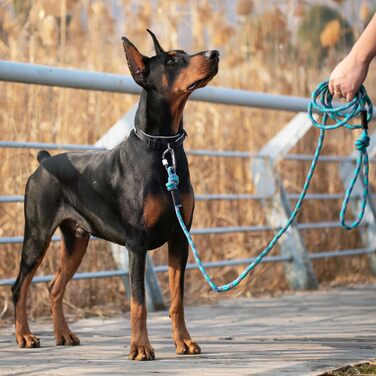 LUCKY LUCY Повідок для собак 3 м, для середніх і великих порід, з відбивачем, міцний алюмінієвий карабін, синій