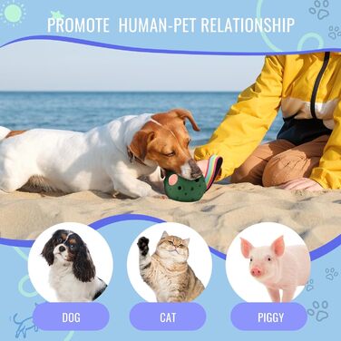 Іграшка для собак Larimuer Schleckball: інтерактивна годівниця-іграшка з силікону (зелена)