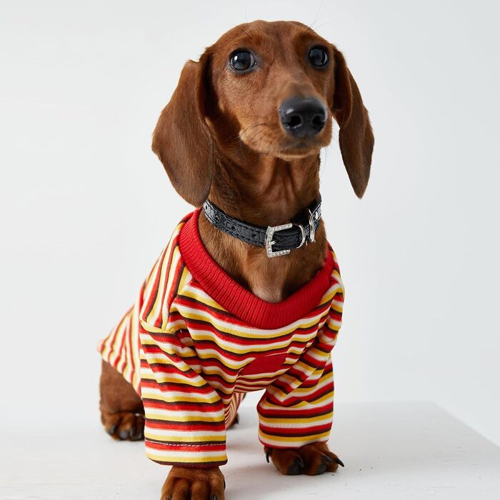Світшот-куртка для дрібних та середніх собак, теплий пуловер, смугастий, з тонкого флісу, комбінезон для собак, одяг для тварин, двоногий одяг для мініатюрних такс, одяг для собак, червоний S