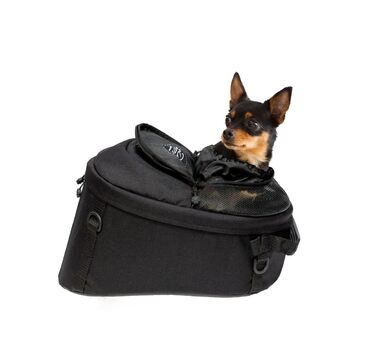 Сумка-переноска для собак Pet Bag Motorrad (до 36 кг), водонепроникна, Cordura (гібрид), для мотоцикла та багажника