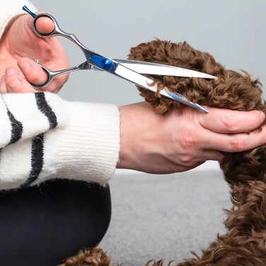 Професійна вигнута ножиці Masterclip Essentials для лівшів, 19,1 см, з високоякісної нержавіючої сталі