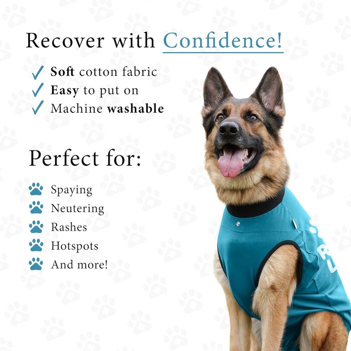 Захисний боді для собак після операції (кастрація/стерилізація), альтернатива комірцю, блакитний, 2XL