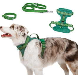 Антизахисна шлейка для собак Easy Walk BearBone з ручкою, повідцем і нашийником, для малих, середніх і великих порід, зелена