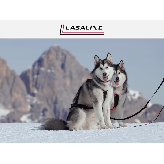 LASALINE Шлея X-Back для собак, для канікросу, дог-скутерінгу, байкджорінгу та їзди на санях, чорна з неоново-оранжевим