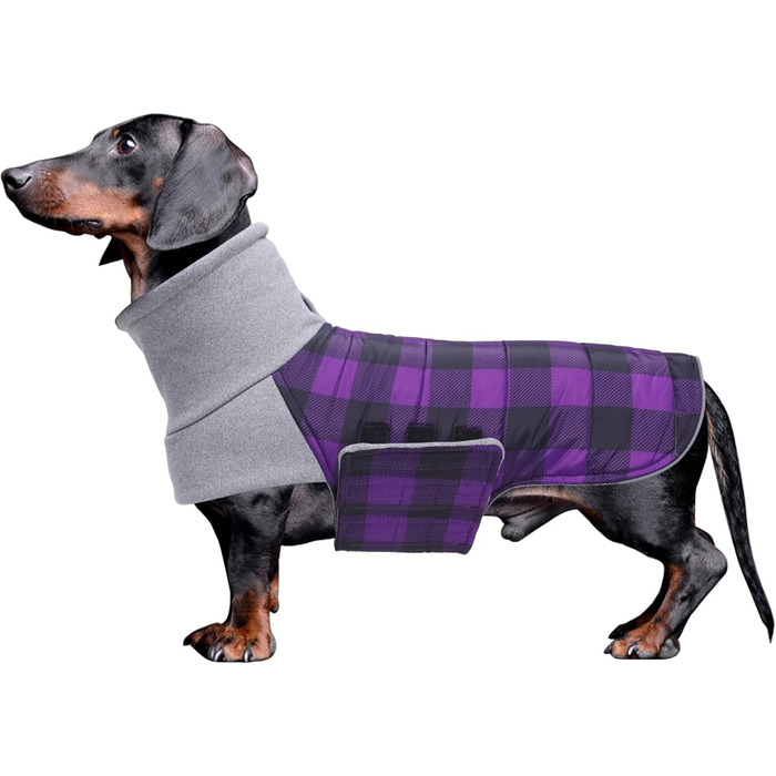 Зимовий нашийник для собак Dachshund від Geyecete, водовідштовхуючий, з отвором для повідка, теплий пуловер для маленьких собак, червоний (S, в клітинку фіолетовий)