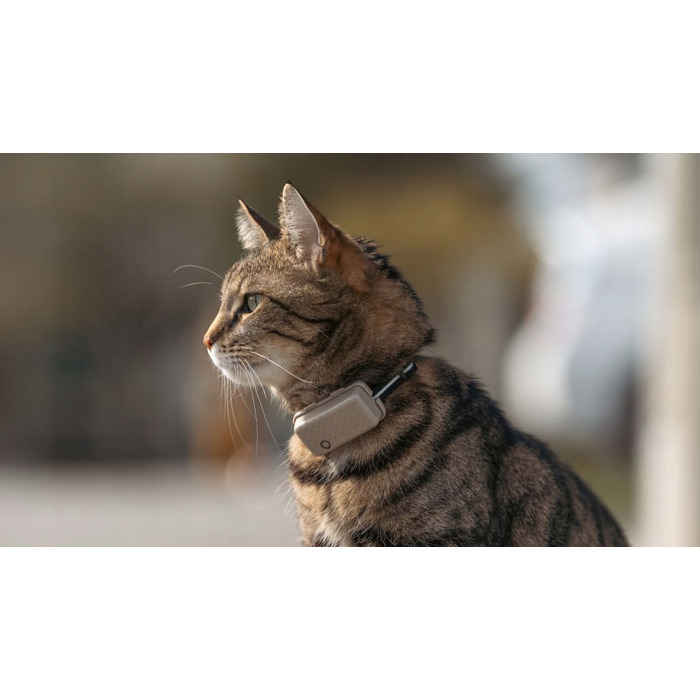 GPS-локатор для котів Tractive CAT Mini з моніторингом здоров'я, коричневий