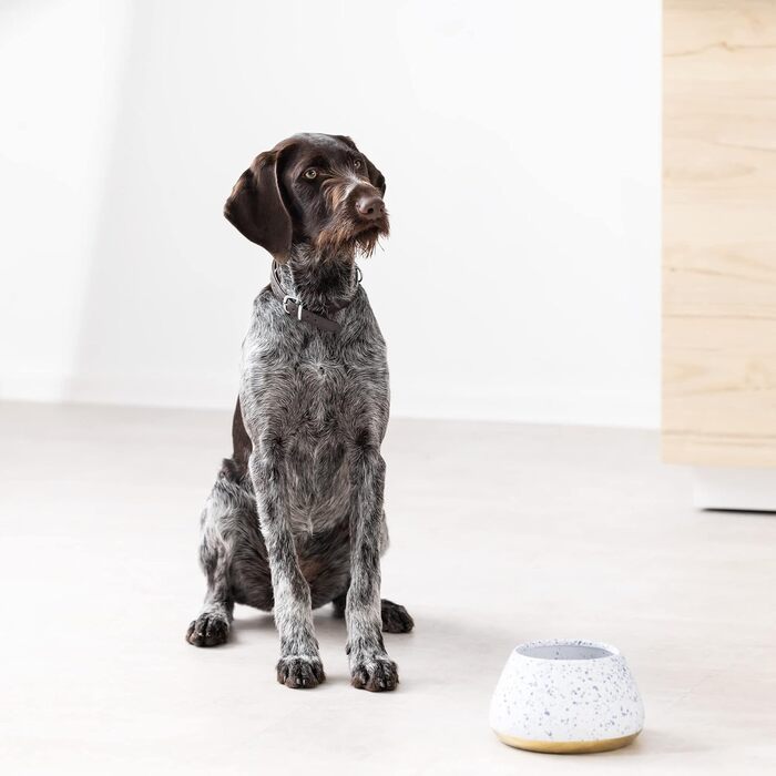 Навіс для собак Navaris Design з кераміки - велика миска для корму - годівниця для собак - миска для кокер-спанієля та довговухих собак - миска для собак біло-блакитно-жовтого кольору