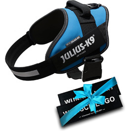 Шлейка Julius K-9 IDC Powergeschirre з індивідуальним написом, для собак малого, середнього та великого розміру, 16IDC+CUSTOMP-ANT (Аквамарин)
